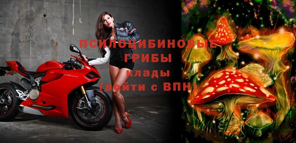 соль ск Балахна