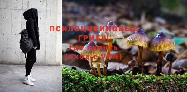 соль ск Балахна
