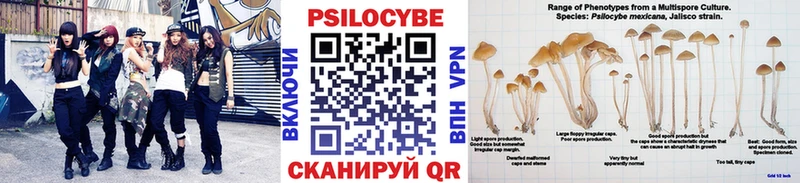 Псилоцибиновые грибы мухоморы  как найти наркотики  Улан-Удэ 